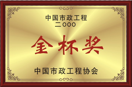 2000中国PA视讯工程协会金杯奖.png